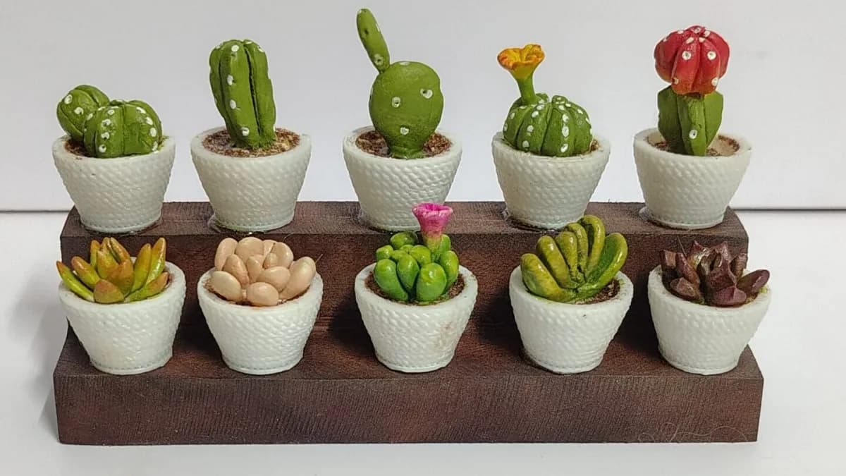 Plant Gift Delivery in Bangalore: Choose a Gift That Survives - Whole Lot of Nature