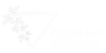 Whole Lot of Nature